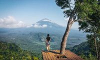 lahangan sweet lempuyang 7